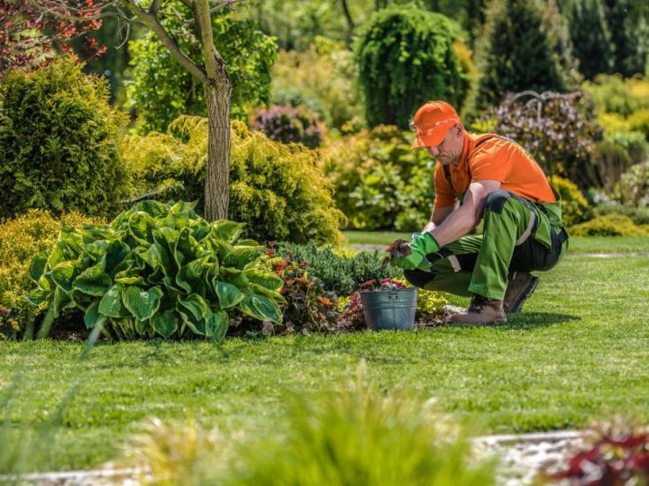 Entretien Design professionnel au travail dans un jardin